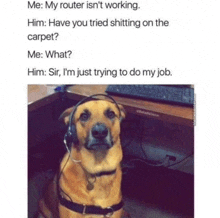 a dog wearing headphones is sitting in front of a computer .