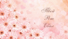 a pink background with flowers and the words " tbou pom edau " on it