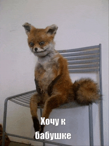 a stuffed fox is sitting on a chair with russian writing on it