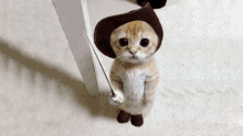 a kitten wearing a cowboy hat and boots holds a sword