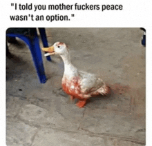 a bloody duck is standing on a sidewalk next to a blue chair .