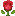 a blurred image of a red rose with green leaves on a white background .