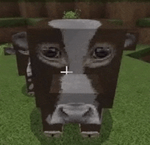 a cow is standing in the grass in a minecraft game .