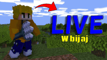 a minecraft character holding a sword with the words live w bijaj