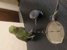 a green parrot standing next to a blue parrot and a mirror