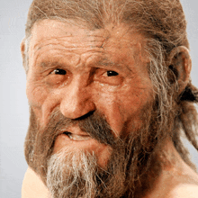 a close up of a man 's face with a beard and long hair