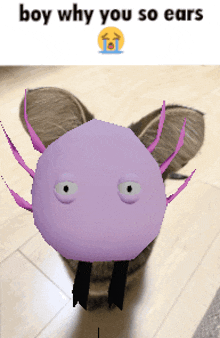 a picture of a purple axolotl with the words boy why you so ears