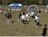 a group of people are gathered in a field with balloons in the background and a blue tent that says ' seoul '