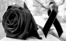 a black rose and two black ribbons are on a wooden table .