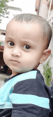 a young boy wearing a black and blue striped shirt looks at the camera