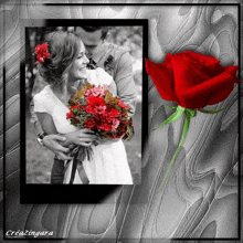 a black and white photo of a bride and groom with a red rose in the foreground