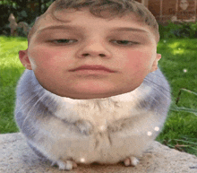 a picture of a boy with a hamster shaped head