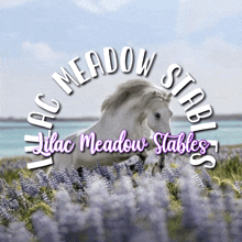 a logo for lilac meadow stables with a horse in the middle