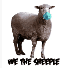 a picture of a sheep wearing a mask with the words we the sheeple below it