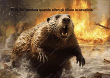 a picture of a beaver with the words pov sei karotina quando ellen gli rifiuta la cavallina below it