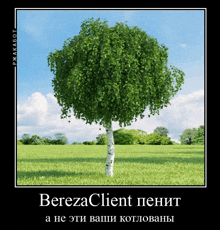 a picture of a tree in a grassy field with the words berezaclient written below it