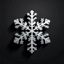 a white snowflake on a black background