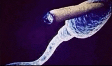 a close up of a cigarette with a purple background