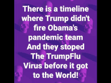 there is a timeline where trump did n't fire obama 's pandemic team and they stopped the trump flu