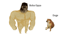 a boba oppa and a doge are shown on a white background