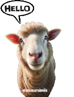 a sheep with a hello speech bubble above it