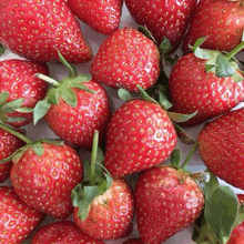 a bunch of strawberries with green leaves on them