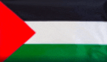 a close up of the flag of palestine with a red , white , and green triangle in the middle .