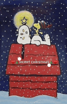 snoopy and woodstock are sitting on top of a red house that says merry christmas