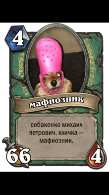 a card with a picture of a dog wearing a pink croc hat