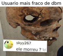 a picture of a skull with a caption that says skyy267 ele morreu ? 1d