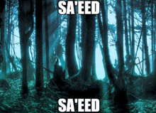 a picture of a forest with the words sa 'eed sa 'eed on it