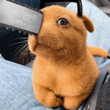 a small furry rabbit is holding a chainsaw in its mouth