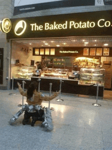 a woman kneeling in front of a store called the baked potato co.