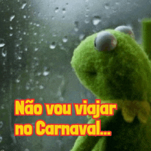 a kermit the frog looking out a window with the words não vou viajar no carnaval below him