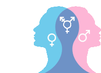 a blue and pink silhouette of a person with gender symbols