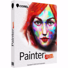 a box of painter 20/20 with a woman 's face on the cover