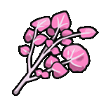 a cartoon drawing of a plant with pink leaves and flowers .