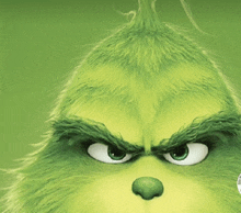 a close up of the grinch 's face with an angry look