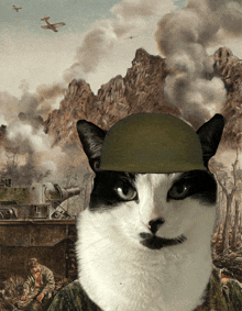 a black and white cat wearing a military helmet in front of a battle scene