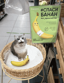 a cat sits in a wicker basket next to a sign that says " спаси банан "