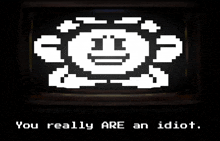 a pixel art image with the words " you really are an idiot "