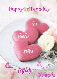 a happy tuesday greeting card with pink heart shaped cookies on a white plate