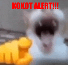 a blurred image of a person pointing with the words kokot alert in red letters