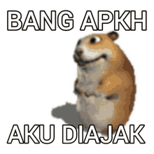 a picture of a hamster with the words bang apkh aku diajak