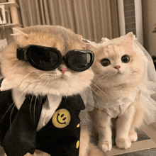 a cat wearing sunglasses is next to a cat wearing a smiley face patch