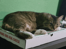 a cat laying on top of a pizza box that says contains 100 % real cheese