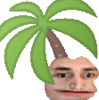 a man 's head with a palm tree on it .