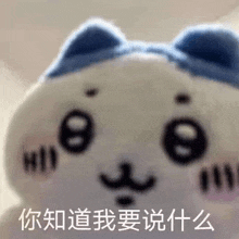 a close up of a stuffed animal with chinese writing on it