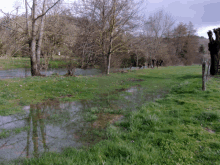 a puddle of water in the middle of a grassy field with trees in the background