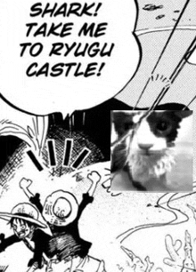 shark ! take me to ryugu castle ! luffy and monkey d luffy are fighting a cat .